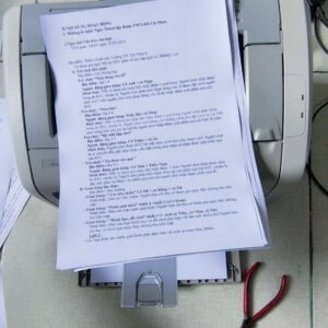 may in hp laserjet 10202